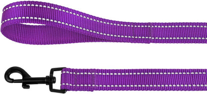 Nylon Dog Leash 5Ft for Daily Outdoor Walking Running Training Heavy Duty Reflective Pet Leashes for Large, Medium & Small Dogs
